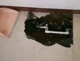 雷州卫生间测漏水多少钱